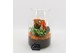 Arrangementen kamerplanten BHCR-2507 Autumn Fundamentals terrarium 2 p 