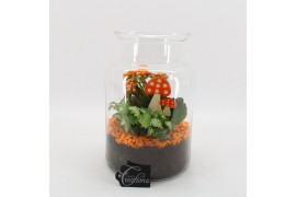 Arrangementen kamerplanten BHCR-2507 Autumn Fundamentals terrarium 2 p