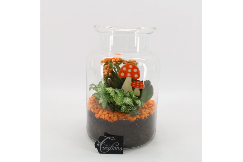 Arrangementen kamerplanten BHCR-2507 Autumn Fundamentals terrarium 2 p 