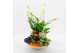Arrangementen kamerplanten BHCR-2502 Autumn Fundamentals 3 pp 