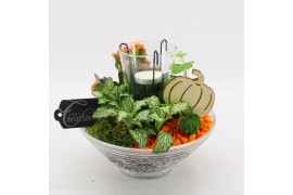 Arrangementen kamerplanten BHCR-2504 Autumn Fundamentals 3 pp