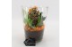 Arrangementen kamerplanten BHCR-2505 Autumn Fundamentals 2 pp 