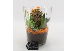 Arrangementen kamerplanten BHCR-2505 Autumn Fundamentals 2 pp