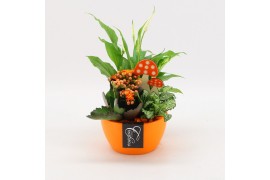 Arrangementen kamerplanten BHCR-2508 Autumn Fundamentals 3 pp