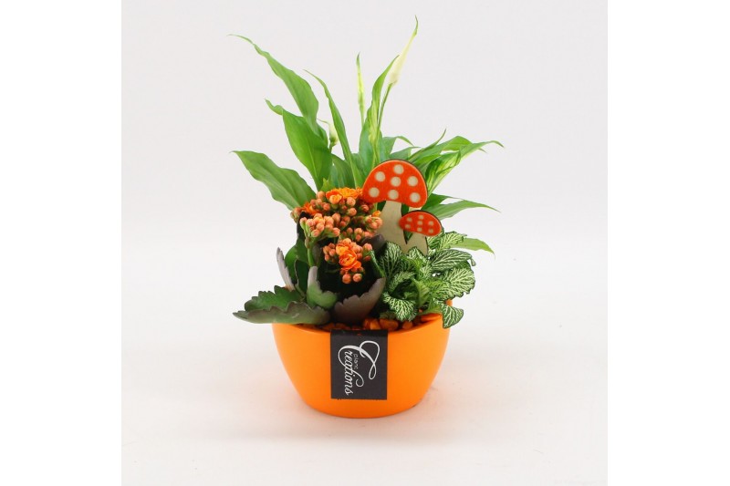 Arrangementen kamerplanten BHCR-2508 Autumn Fundamentals 3 pp Arrangementen kamerplanten BHCR-2508 Autumn Fundamentals 3 pp
