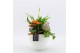Arrangementen kamerplanten BHCR-2511 Autumn Fundamentals 3 pp 