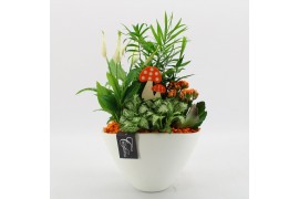 Arrangementen kamerplanten BHCR-2512 Autumn Fundamentals 4 pp