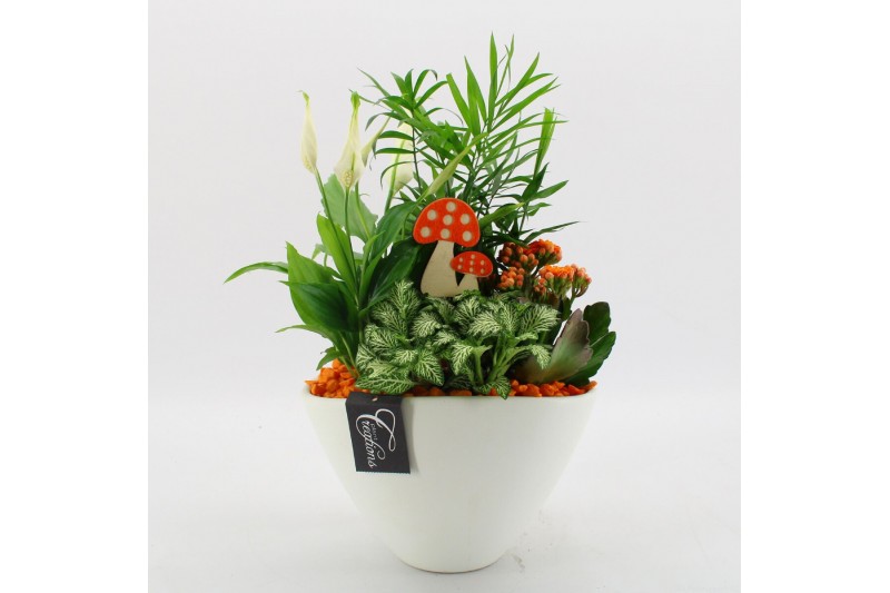 Arrangementen kamerplanten BHCR-2512 Autumn Fundamentals 4 pp Arrangementen kamerplanten BHCR-2512 Autumn Fundamentals 4 pp