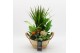 Arrangementen kamerplanten BHCR-2520 Autumn Fundamentals 5 pp 