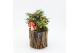 Arrangementen tuinplanten HBCR-2501 Herfst buiten creatie 2 pp 
