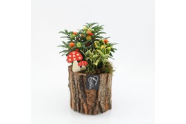 Arrangementen tuinplanten HBCR-2501 Herfst buiten creatie 2 pp