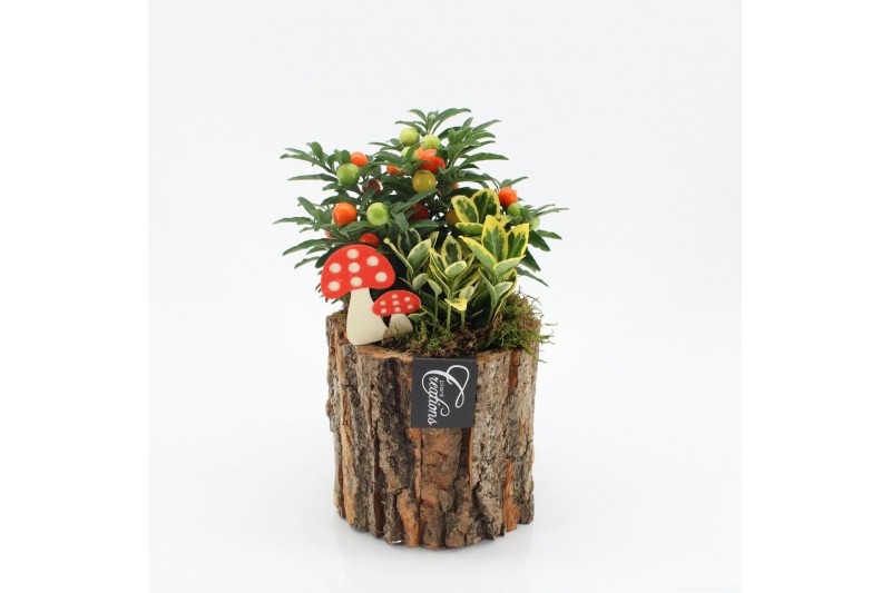 Arrangementen tuinplanten HBCR-2501 Herfst buiten creatie 2 pp 