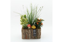 Arrangementen tuinplanten HBCR-2502 Herfst buiten creatie 3 pp
