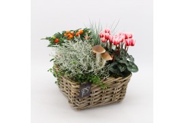 Arrangementen tuinplanten HBCR-2504 Herfst buiten creatie 4 pp