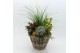 Arrangementen tuinplanten HBCR-2505 Herfst buiten creatie 4 pp 