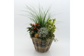 Arrangementen tuinplanten HBCR-2505 Herfst buiten creatie 4 pp