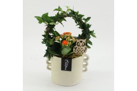 Arrangementen kamerplanten HECR-2510 Autumn Essentials 2 pp