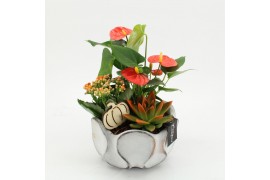 Arrangementen anthurium HECR-2527 Autumn Essentials 3 pp