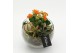 Arrangementen kamerplanten HECR-2530 Autumn Essentials 2 pp 