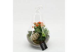 Arrangementen kamerplanten HECR-2535 Autumn Essentials terrarium 2 pp