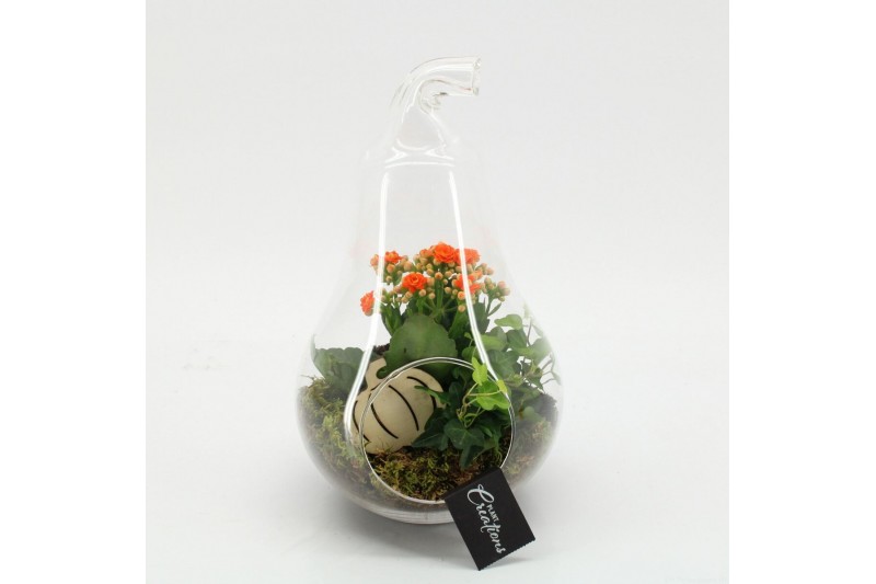 Arrangementen kamerplanten HECR-2535 Autumn Essentials terrarium 2 pp Arrangementen kamerplanten HECR-2535 Autumn Essentials terrarium 2 pp