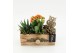 Arrangementen kamerplanten HECR-2539 Autumn Essentials 3 pp 