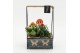 Arrangementen kamerplanten HECR-2540 Autumn Essentials 2 pp 