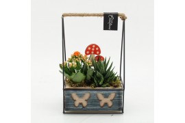 Arrangementen kamerplanten HECR-2540 Autumn Essentials 2 pp