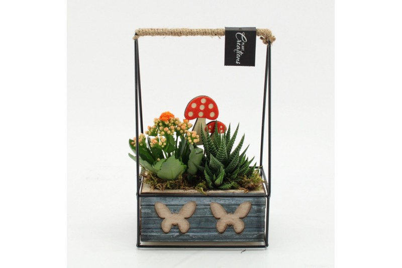 Arrangementen kamerplanten HECR-2540 Autumn Essentials 2 pp Arrangementen kamerplanten HECR-2540 Autumn Essentials 2 pp