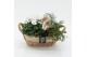 Arrangementen tuinplanten HBCR-2536 Herfst buiten creatie 2 pp 