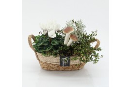 Arrangementen tuinplanten HBCR-2536 Herfst buiten creatie 2 pp