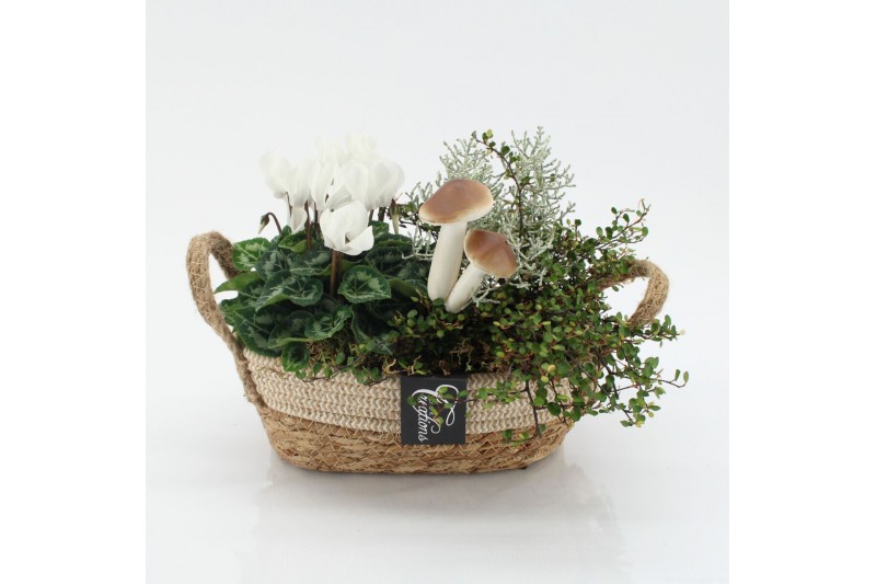 Arrangementen tuinplanten HBCR-2536 Herfst buiten creatie 2 pp 