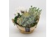 Arrangementen tuinplanten HBCR-2537 Herfst buiten creatie 3 pp 