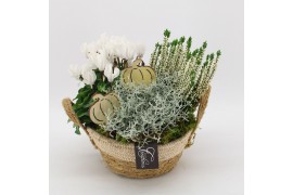 Arrangementen tuinplanten HBCR-2537 Herfst buiten creatie 3 pp