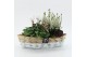 Arrangementen tuinplanten HBCR-2538 Herfst buiten creatie 2 pp 
