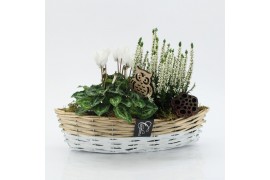 Arrangementen tuinplanten HBCR-2538 Herfst buiten creatie 2 pp