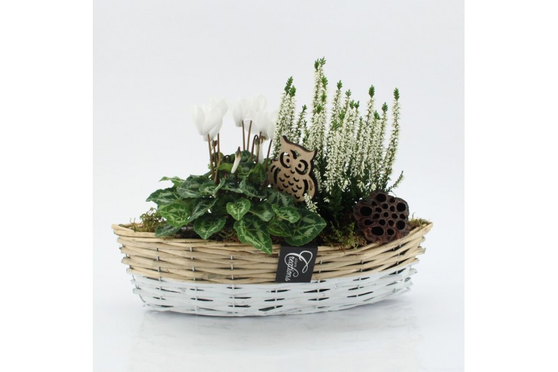 Arrangementen tuinplanten HBCR-2538 Herfst buiten creatie 2 pp Arrangementen tuinplanten HBCR-2538 Herfst buiten creatie 2 pp