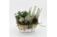 Arrangementen tuinplanten HBCR-2539 Herfst buiten creatie 3 pp 