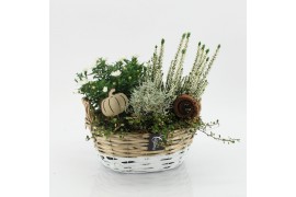 Arrangementen tuinplanten HBCR-2539 Herfst buiten creatie 3 pp