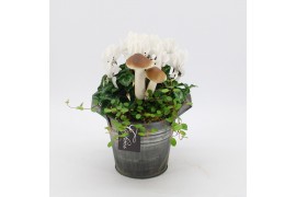 Arrangementen tuinplanten HBCR-2540 Herfst buiten creatie 2 pp