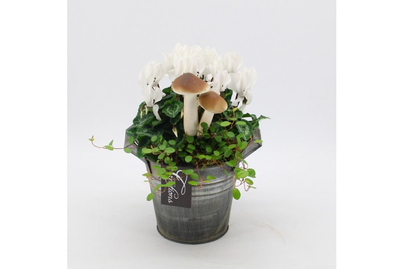 Arrangementen tuinplanten HBCR-2540 Herfst buiten creatie 2 pp Arrangementen tuinplanten HBCR-2540 Herfst buiten creatie 2 pp