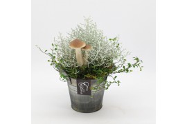 Arrangementen tuinplanten HBCR-2541 Herfst buiten creatie 1 pp