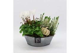 Arrangementen tuinplanten HBCR-2542 Herfst buiten creatie 2 pp
