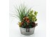 Arrangementen tuinplanten HBCR-2513 Herfst buiten creatie 3 pp 