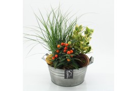 Arrangementen tuinplanten HBCR-2513 Herfst buiten creatie 3 pp