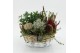 Arrangementen tuinplanten HBCR-2524 Herfst buiten creatie 3 pp 