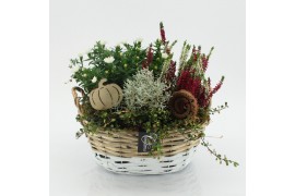 Arrangementen tuinplanten HBCR-2524 Herfst buiten creatie 3 pp