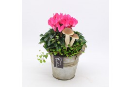 Arrangementen tuinplanten HBCR-2525 Herfst buiten creatie 2 pp