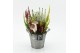 Arrangementen tuinplanten HBCR-2526 Herfst buiten creatie 1 pp 