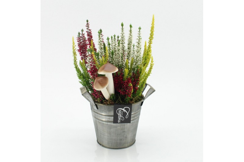 Arrangementen tuinplanten HBCR-2526 Herfst buiten creatie 1 pp Arrangementen tuinplanten HBCR-2526 Herfst buiten creatie 1 pp